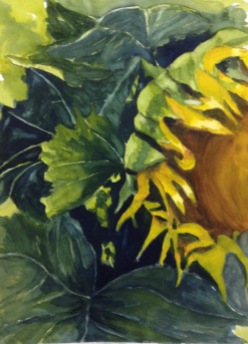 Sunflower III, watercolour, plein air painting