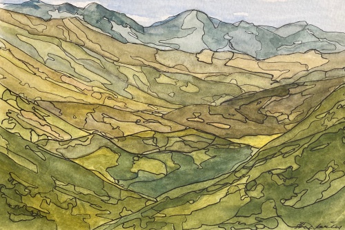 #240- Green Valley, Pyramide Vallery, NZ Watercolour and ink, plein air painting, 6"X9"