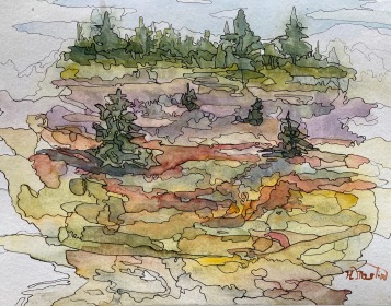#367-1-1 Alfred bog, ON watercolour and ink, 9"x12", plein air painting,$260.00 unframed