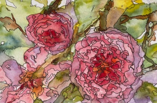 #376- Marlène's roses watercolour and ink, plein air painting, 6"x9", 145.00 unframed