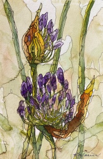 #377-1-Fleurs d'agapentus I Watercolour, Ink, plein air painting, 6"x9", $145.00 unframed