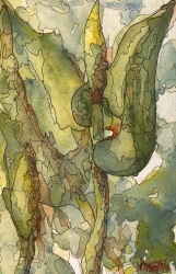 #412- Water plants, I watercolour, gouache and ink, plein air ptg, 6"x9", $145.00 unframed