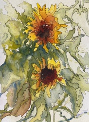 #430- Two Sunflowers Watercolour and ink, 9"x12", studio painting, $200.00 unframed