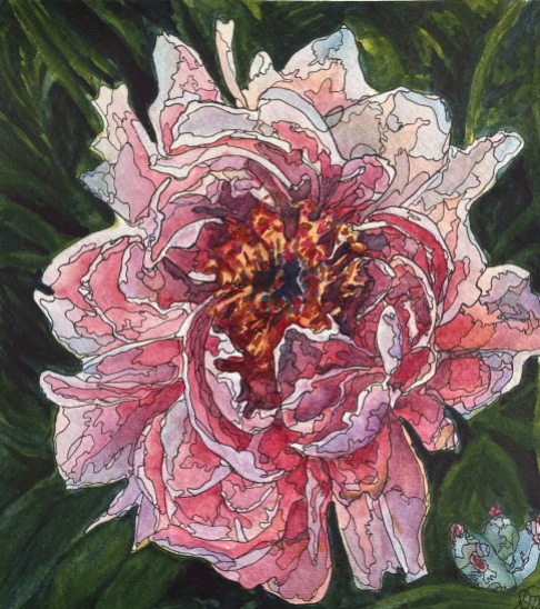 #452- Peonies I Watercolour, ink and gouache, 11"x11", $225.00 unframed