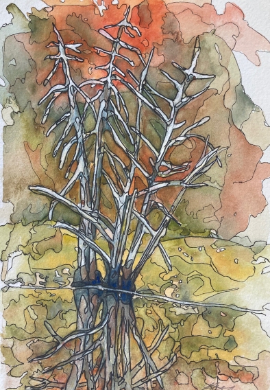 #426- Swamp I, Opeongo watercolour, gouache and ink, plein air painting, $225.00