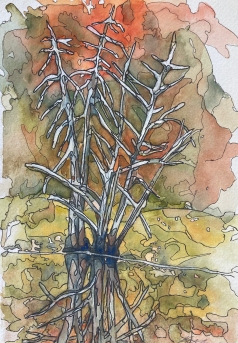 #426- Swamp I, Opeongo watercolour, gouache and ink, plein air painting, $115.00
