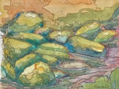 #486- Moss on Rocks, Dartmouth, Mixte water medium, Plein air painting, 8"x 10", $180.00 unframed
